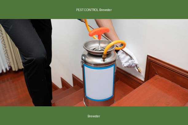 PEST CONTROL Brewster